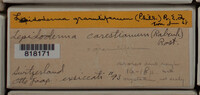 Image Associated With the Occurence